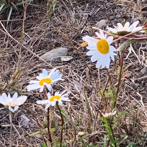 BUNDLES make sense - Picture 3 of 3